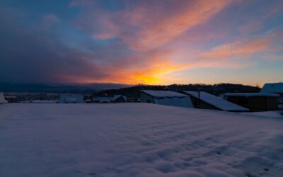 Navigating the Scenic Route: A Guide from Sapporo to Furano