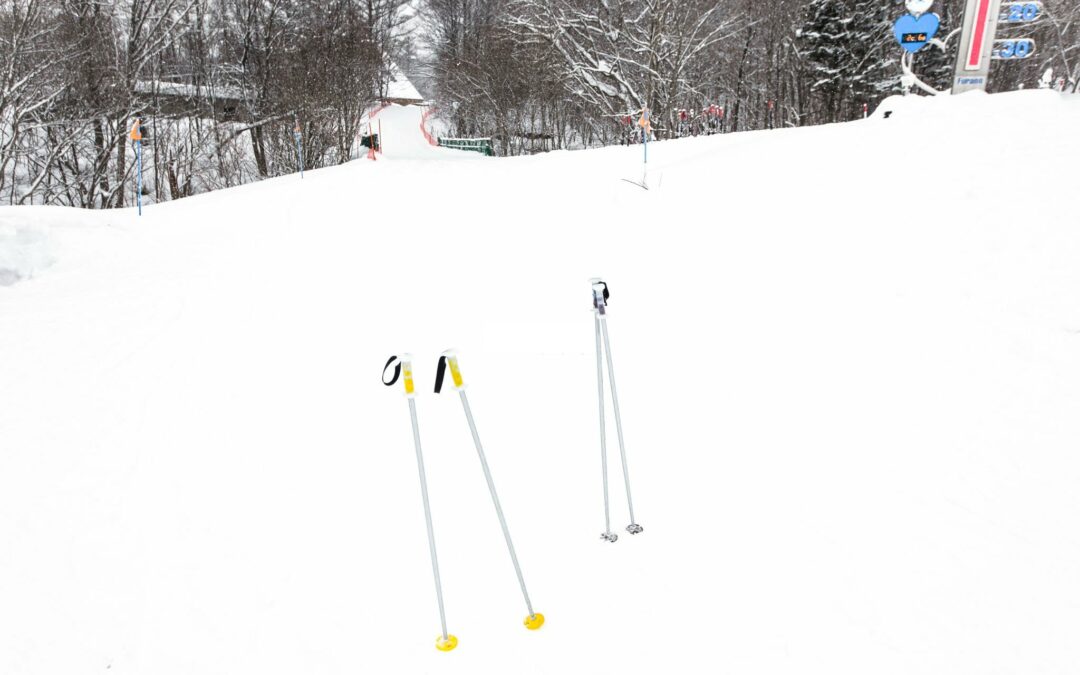 “Exploring Hokkaido: A Scenic Journey from Asahikawa to Furano”