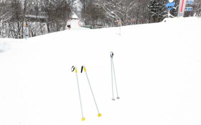 “Exploring Hokkaido: A Scenic Journey from Asahikawa to Furano”