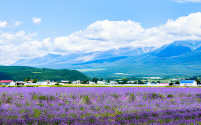 Selecting Accommodation in Furano: Important Considerations