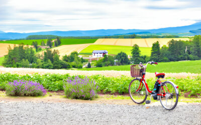 Your Ultimate Escape to Furano’s Lavish Accommodations