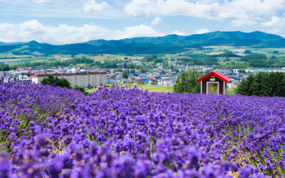 Experience Tranquility: Secluded and Serene Furano Accommodations for a Relaxing Retreat
