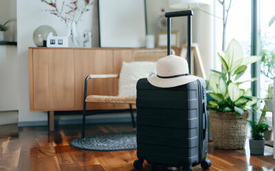 Furano Accommodation Showdown: Hotels vs. Vacation Rentals