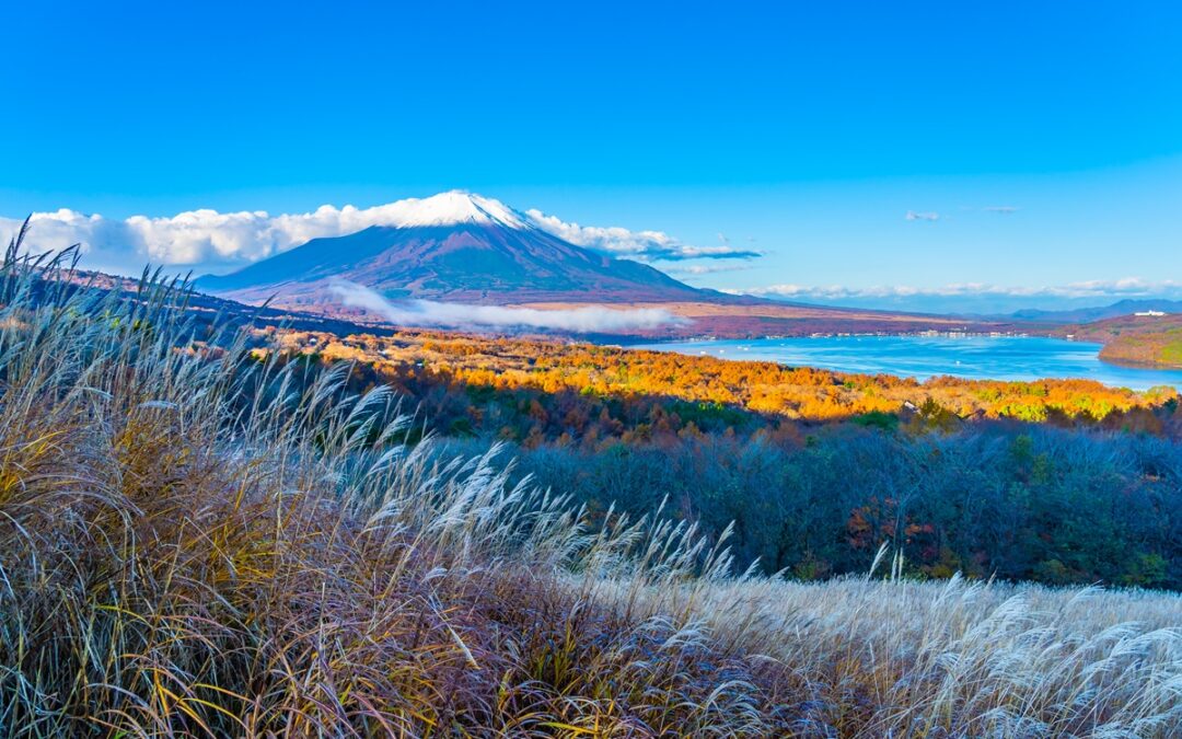 Furano Accommodation – Where Comfort Meets Nature
